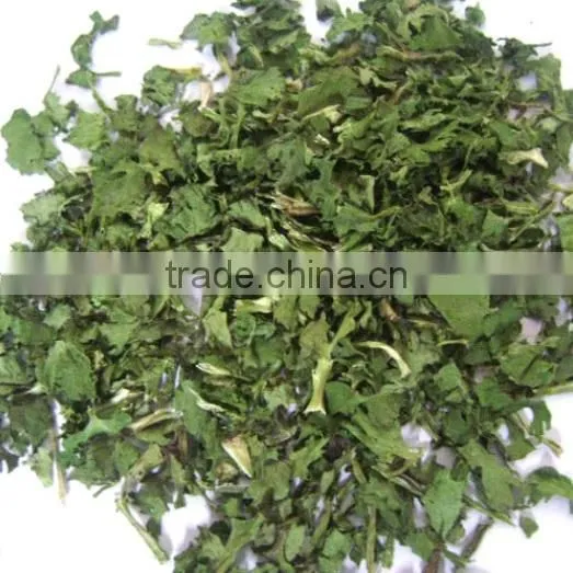 Innovative chinese products Coriander buy wholesale direct from china