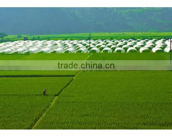 Tea Seed Meal/Cake/Powder/Pellet for Aquaculture, Organic Fertilizer, Eco-pesticides, etc.