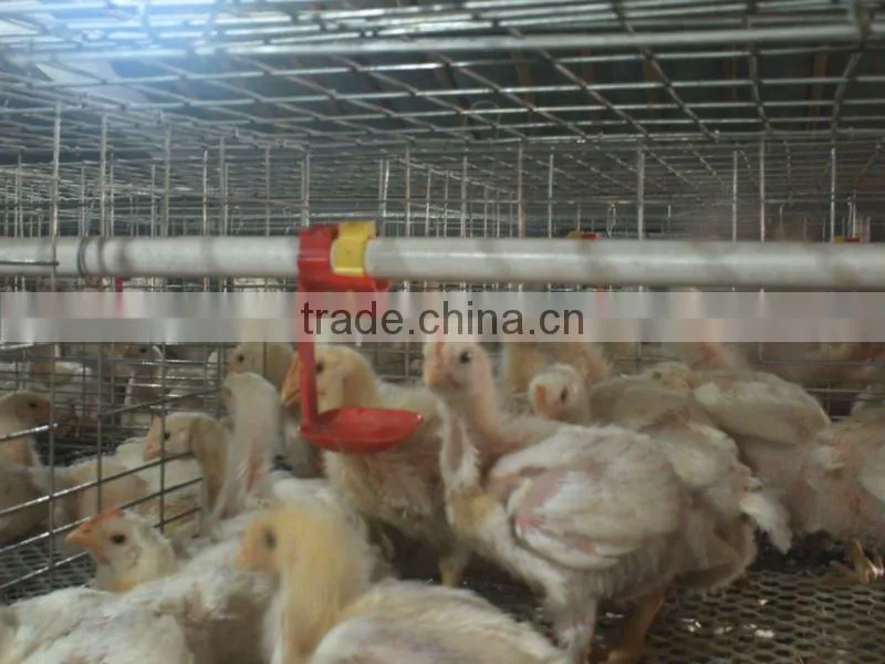 TAIYU-102 breeding broiler cage