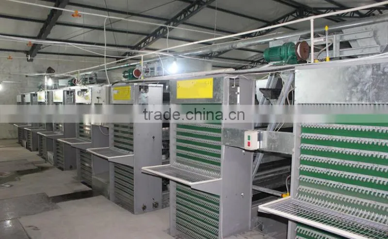 made in China mujia model Automatic egg collecting machine