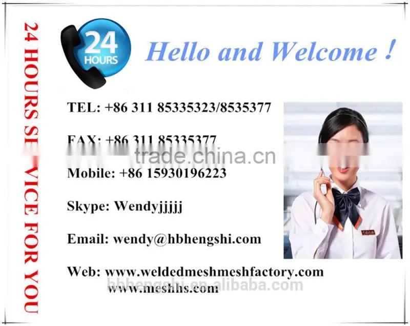 High quality coil nails