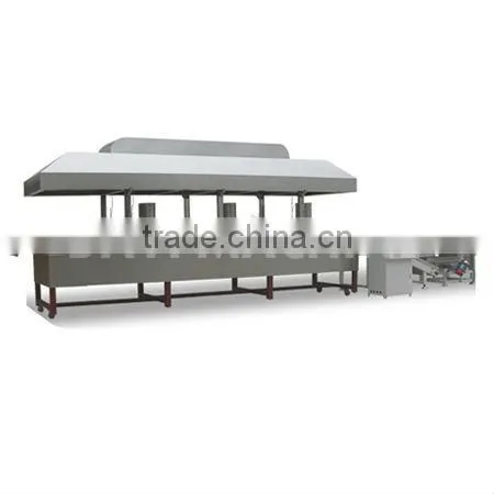 Continuous / automatic excellent twice extruded fryer