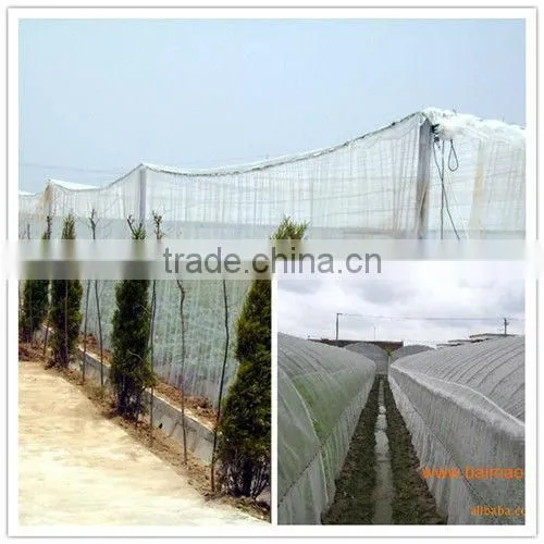 16*16 Good quality plastic insect net