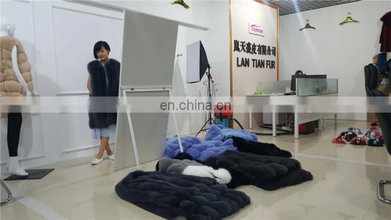 Hengshui Lantian Fur Trading Co., Ltd. company overview - view 3
