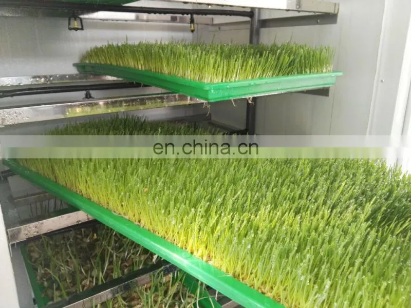 Commercial rabbits fodder making machine / hydroponic culturing barley breeding machine for sale