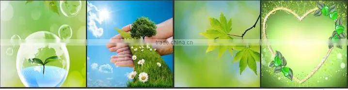 natrural eucalyptus oil
