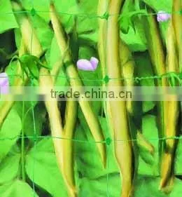 Trellis Netting, Trellis Mesh, Garden Trellis Net