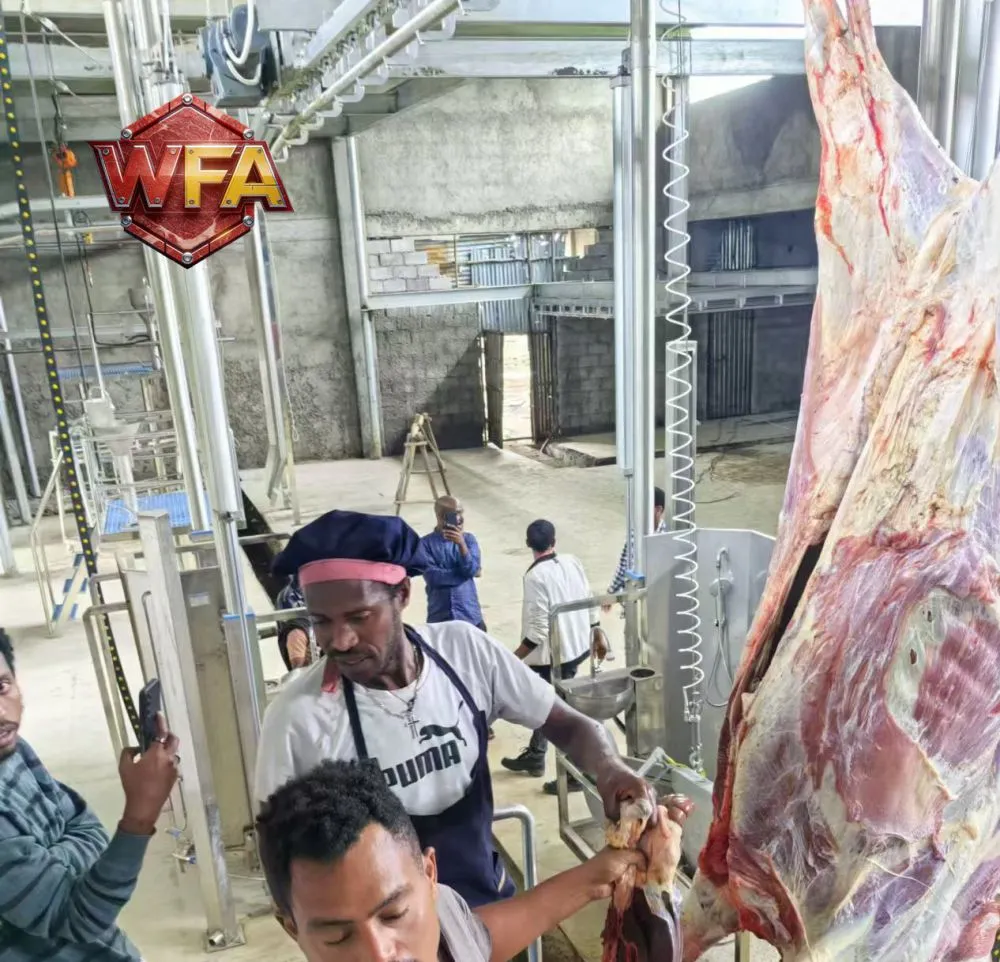 WFA ETH SLAUGHTER LINE(4)
