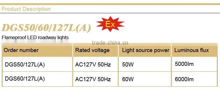 DGS60/127L(A) Explosion proof flameproof LED roadway lights