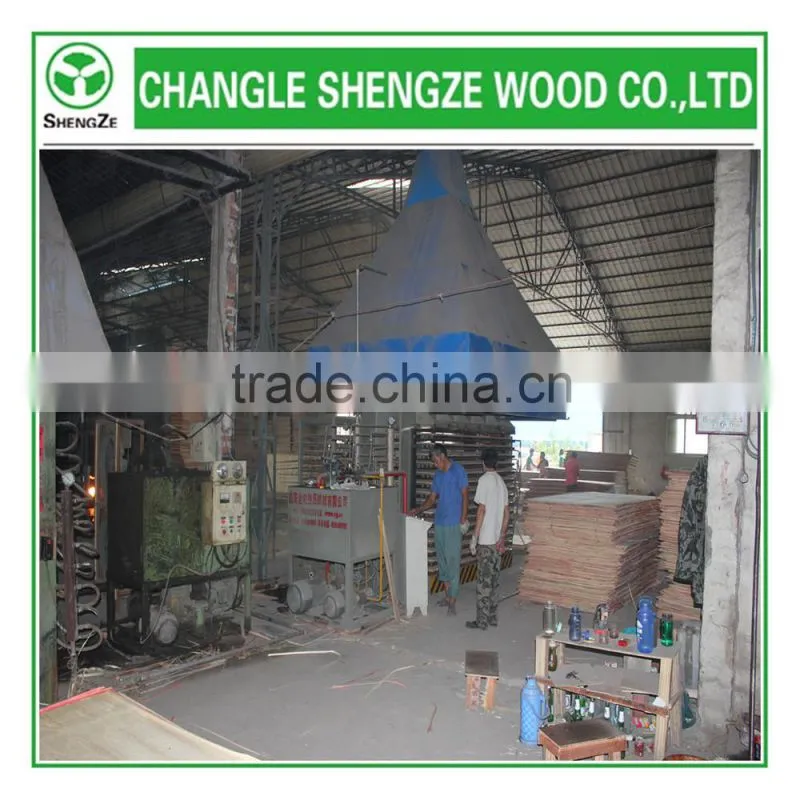 Professional Manufacture commercial plywood for furniture use
