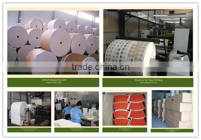 PE coated Paper In Sheet For Cups