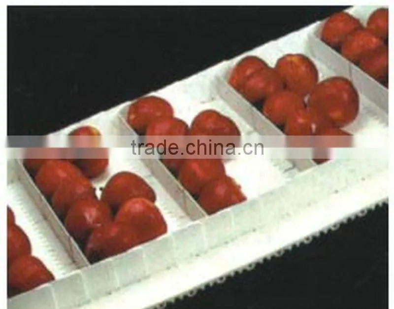Stainless Steel Fruit Belt Conveyor Price