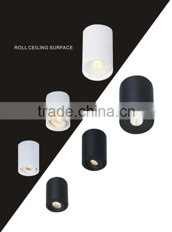 Adjustable high quality dimmable 10W COB led ceiling surface light with HEP driver