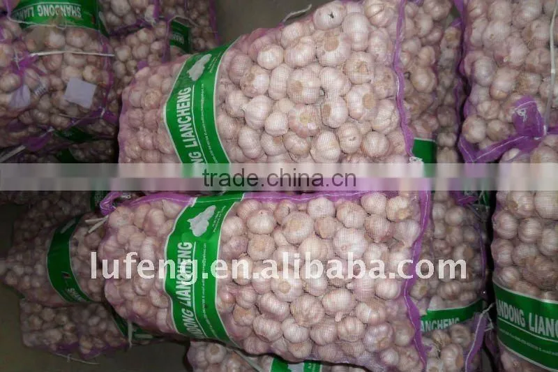 Chinese Garlic