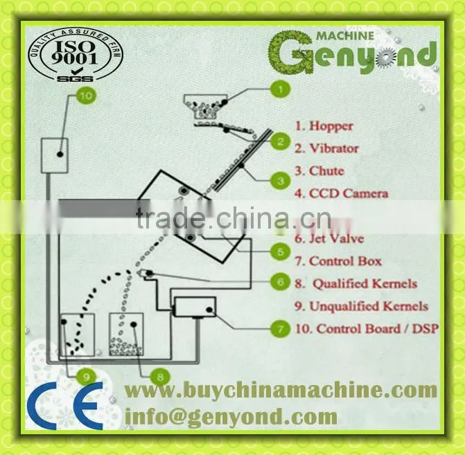 High Quality DATES Color Sorting Machine