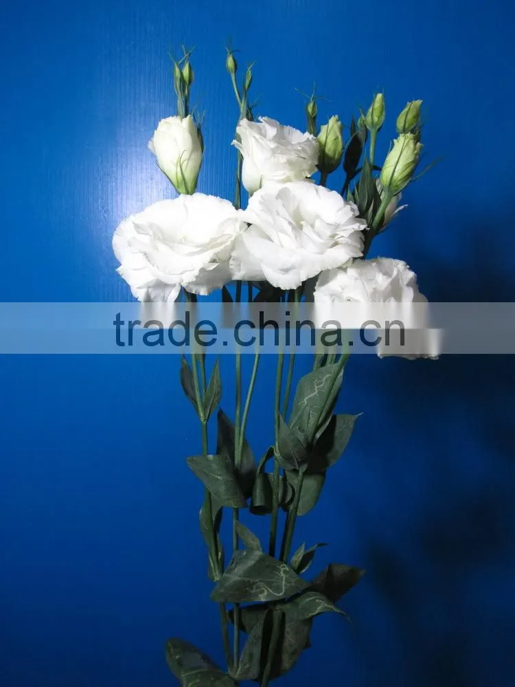 Good smell hotsell provide high quality fresh eustoma