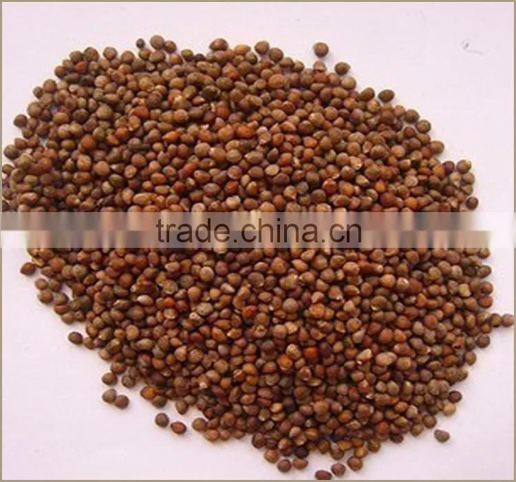 Hot Sale Health Cooking Oil High Quality Cold Pressed Perilla Seed Oil
