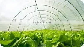 200 micron greenhouse film for agriculture