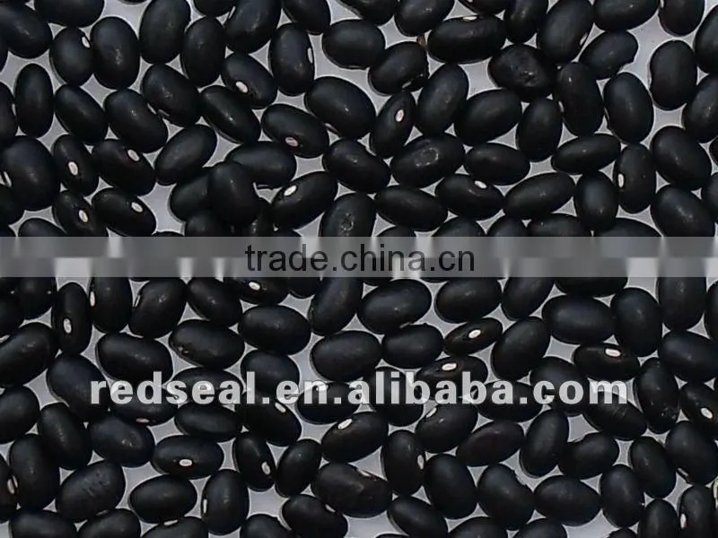 Small Black kidney beans