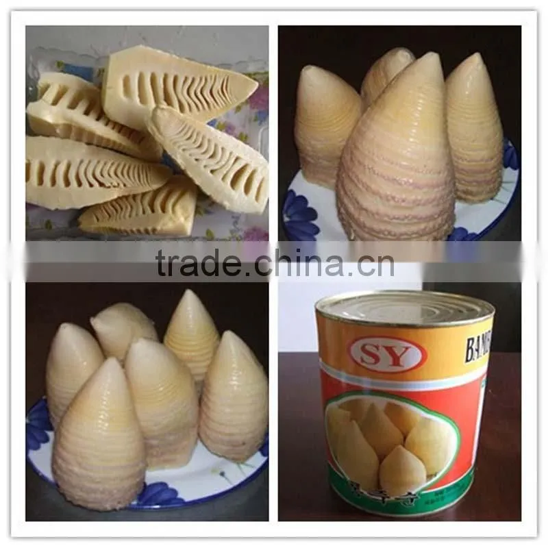 2016 new crop Canned Bamboo Shoot 2950gram
