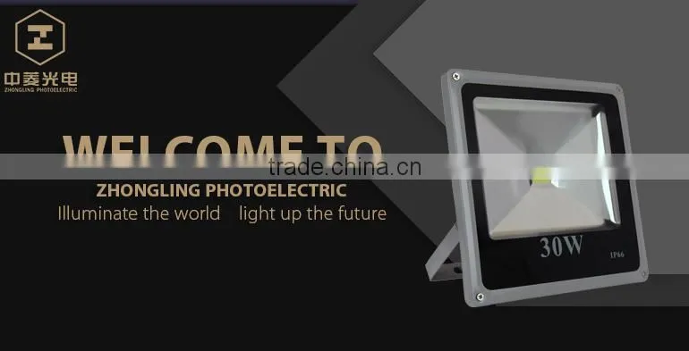 IP65/66 New style flood light 30w led flood light fixture