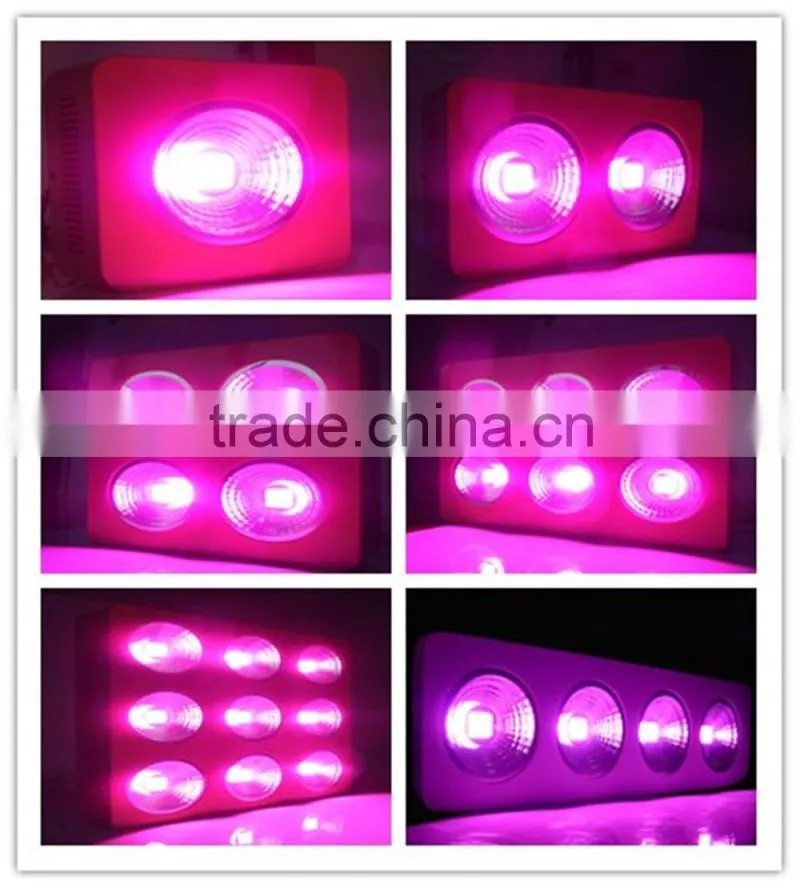 Hydroponic system 400w cob led grow light