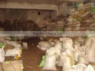 M/s Arfa Exports company overview - view 2