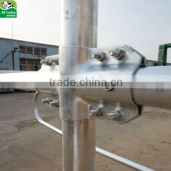 New design Cattle cow free stall cattle cubicles