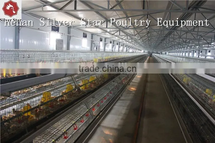 poultry farm use steel structure for battery broiler chicken coop