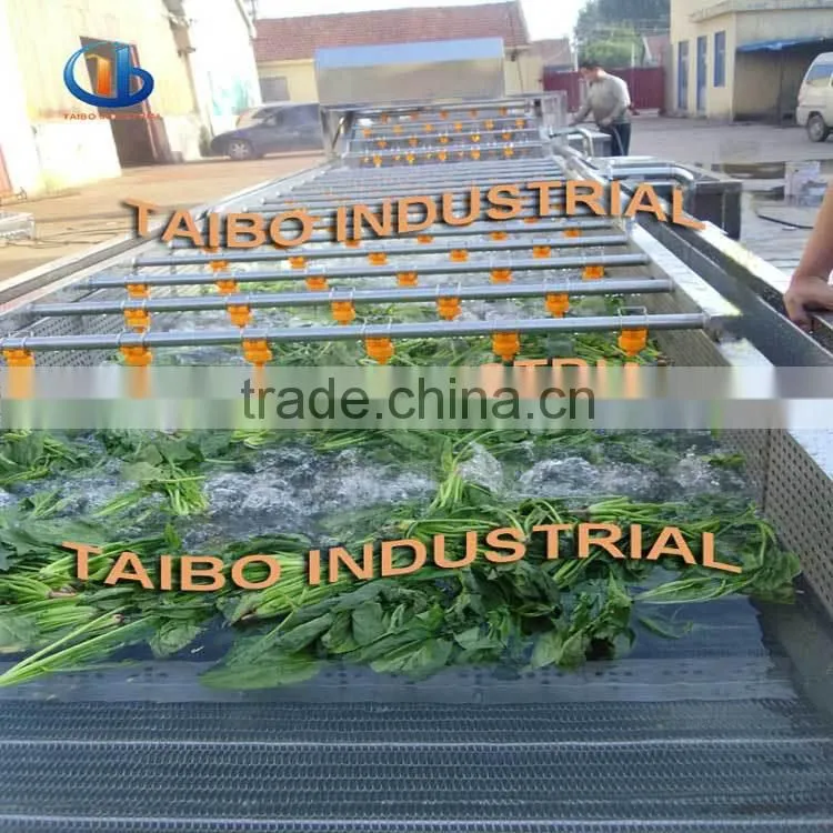 food machinery manufacturer washer type fruits and vegetables washing equipment