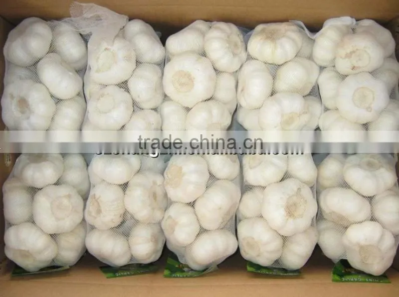 2016 New crop fresh natural pure white garlic