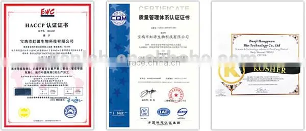 High quality gingerol ginger extract ginger root powder