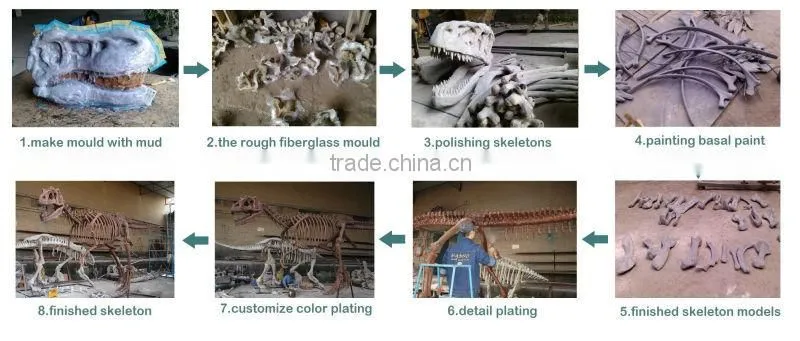 MY Dino-O08 Life size fiberglass dinosaur skeleton decoration