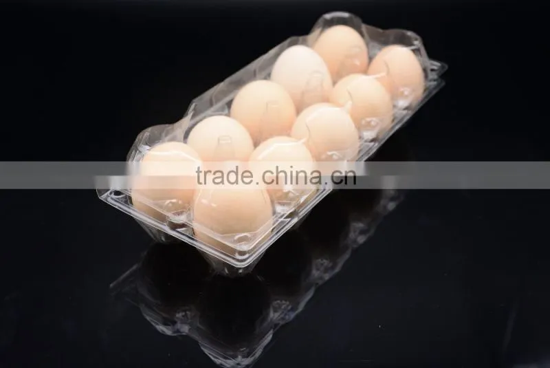 sell plastic egg box for sale