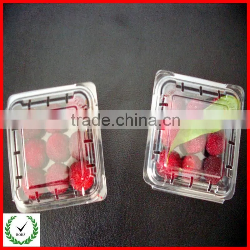 global wholesale disposable hotsell pretty fruit trays