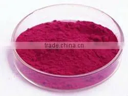 Fresh Berry Juice Powder
