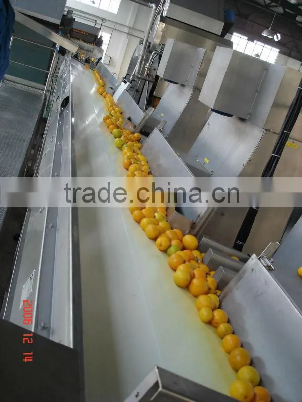 turn key full automatic orange juice processing line