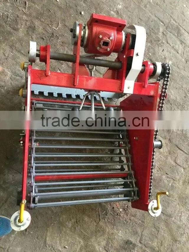 High efficiency small potato harvester