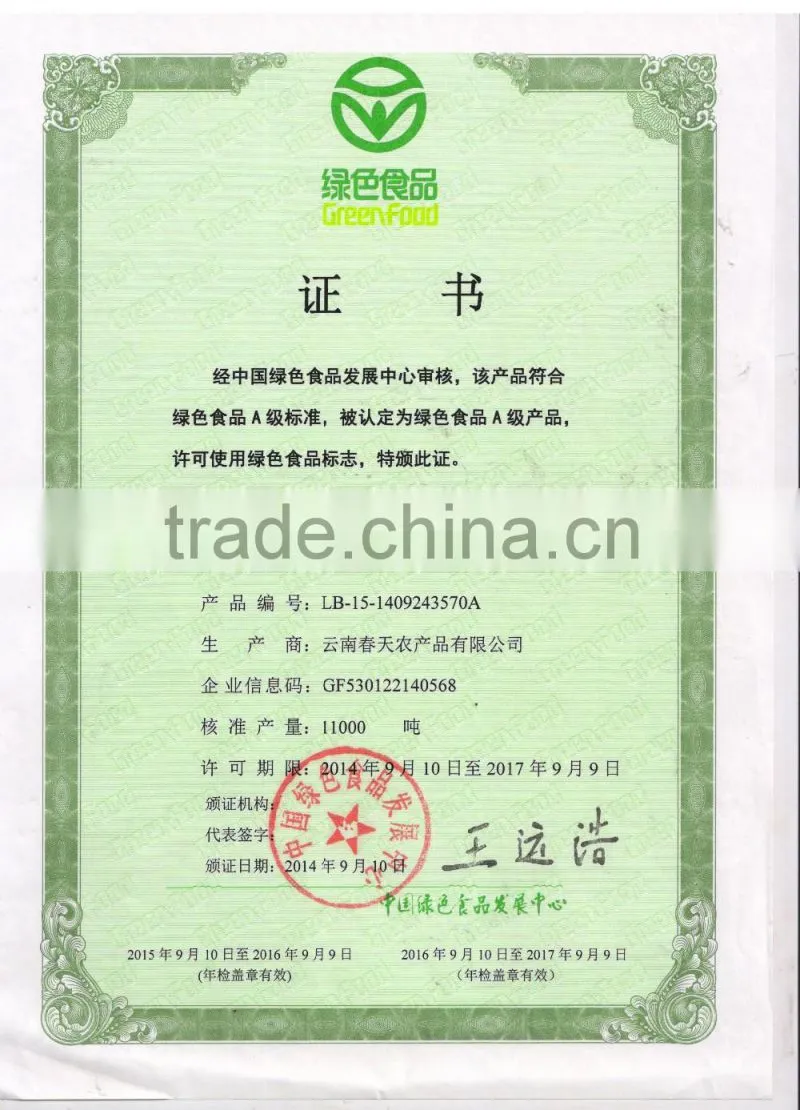 freezed leaf lettuce iceberg type lettuce grade one vegetable in Yunnan