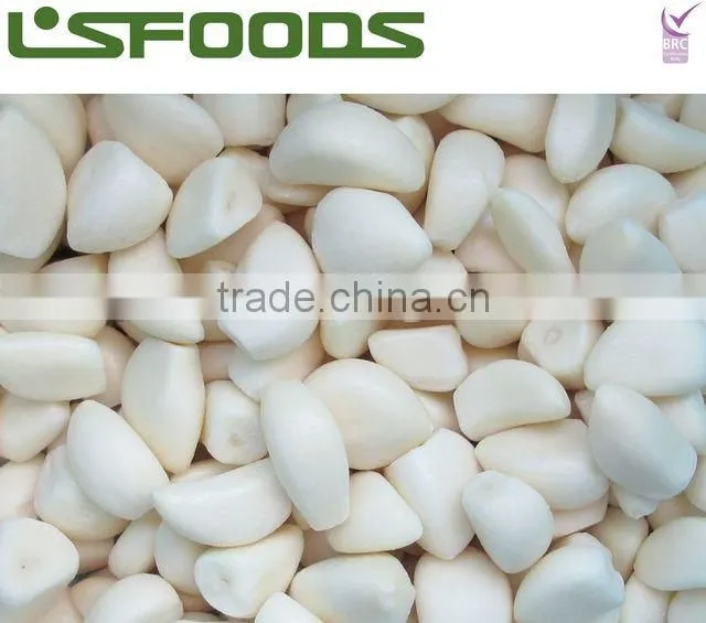 IQF garlic CLOVE SEGMENT 2014 PRICE