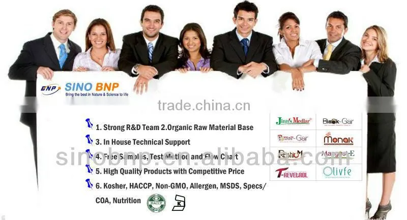 BNP Supply High Quality Garlic Oil Capsule