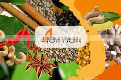 VIETNAM TAPIOCA STARCH