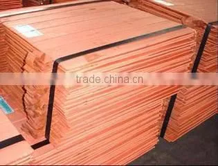 Qingdao Artluck International Limited company overview - view 3