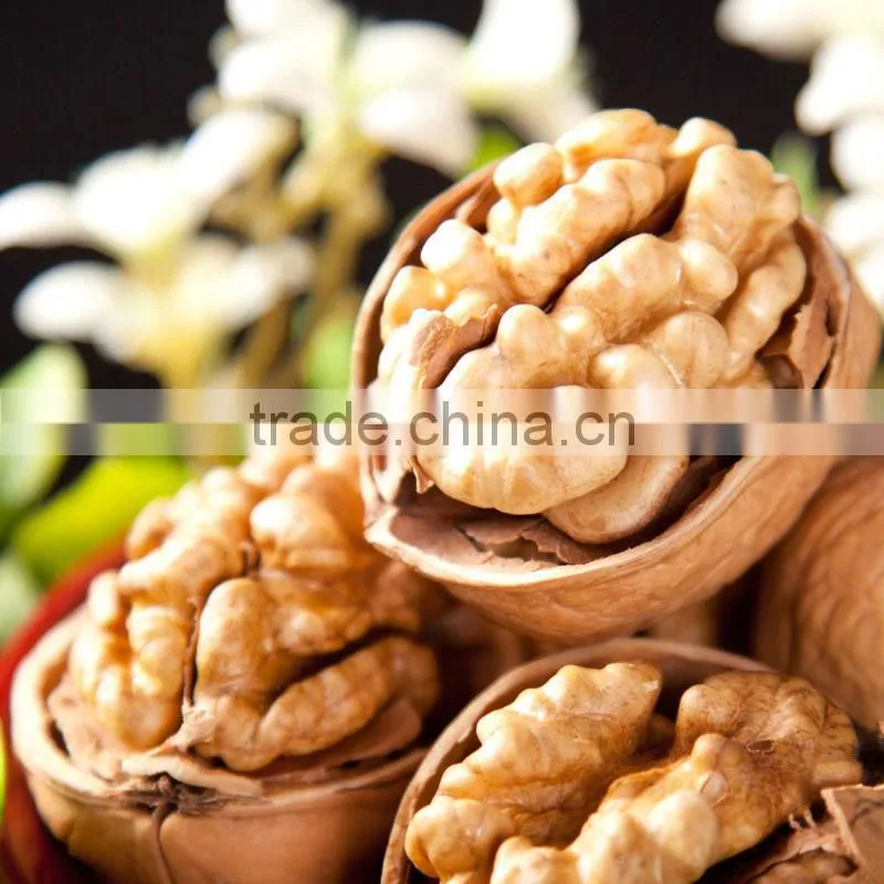 xinjiang walnut
