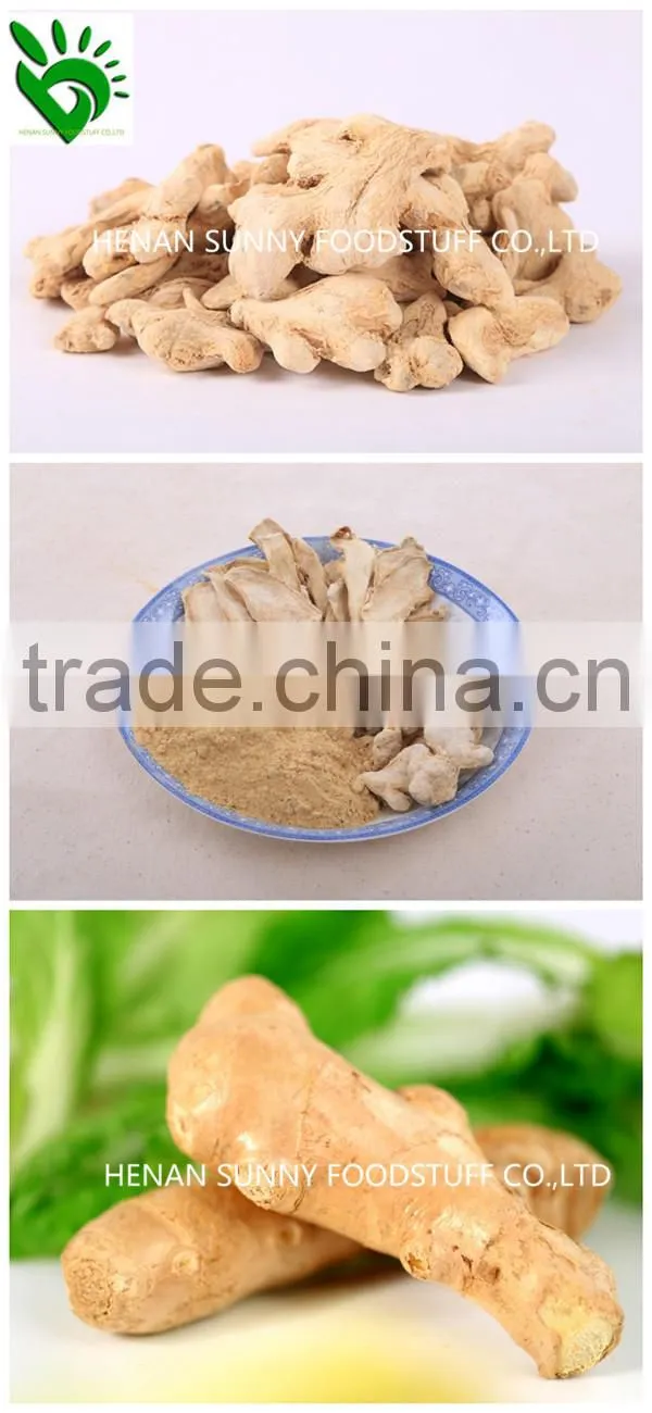 2014 Crop Dehydrated Ginger Pieces