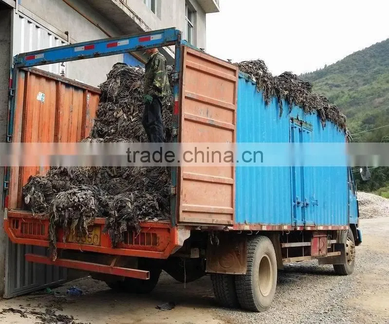 Natural Abalone Feed Dried Kelp Seaweed Raw Materials and Small Pieces