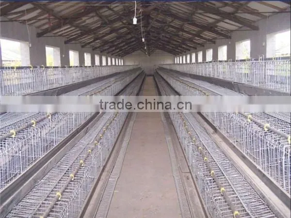high quality galvanized welded wire chicken cage for poultry