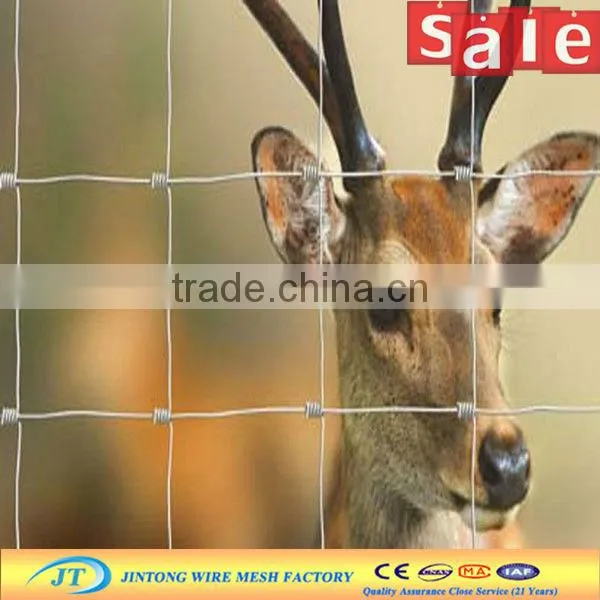 galvanized cheap wire mesh security black horse fences