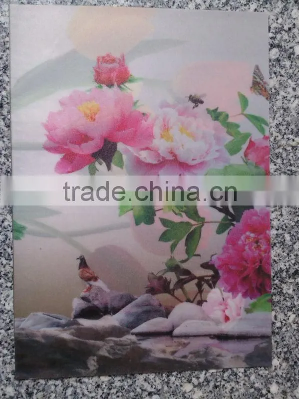 lamination film( EVA)