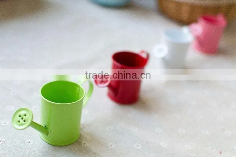 cheap small indoor 2 or 2.5 inches white metal flower watering can mini planter for succulents